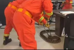 法治热点事件视频,法治热点最新案例