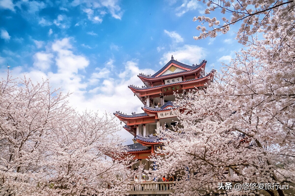 无锡几大景点旅游攻略,去无锡旅游的15个景点