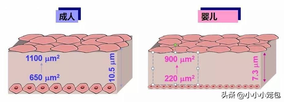 公认最好的宝宝面霜推荐,宝宝霜推荐排行榜前十名