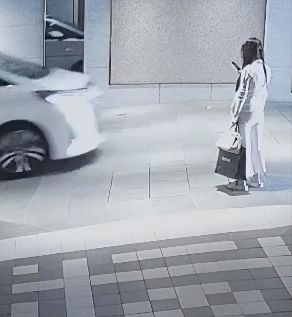 香港名媛碎尸案杀人动机,香港名媛碎尸案案件详情