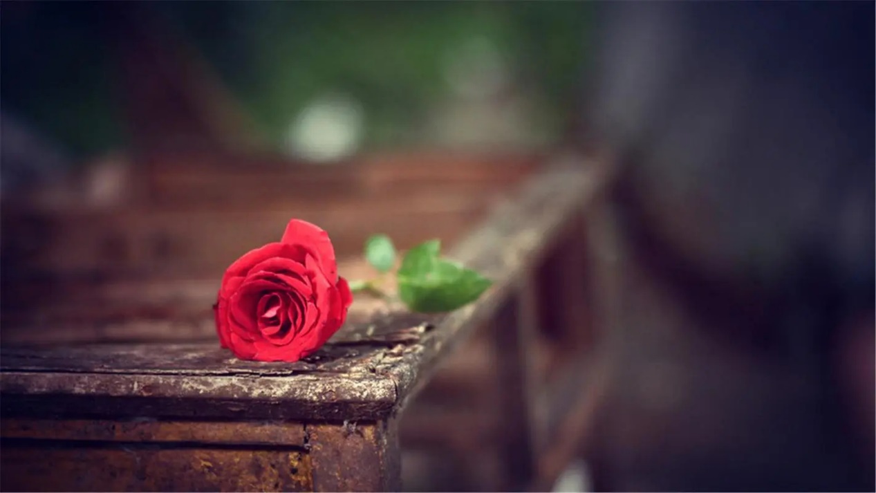 9.9评分神书,心理学书籍9.9