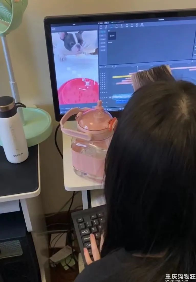 宠物博主有多赚钱,宠物博主怎么盈利