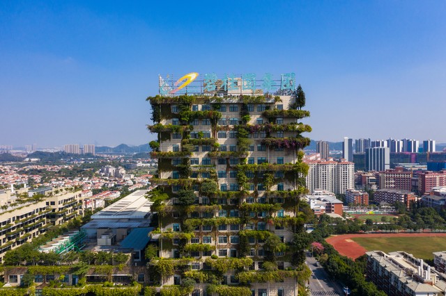 上市建筑企业—上海建工