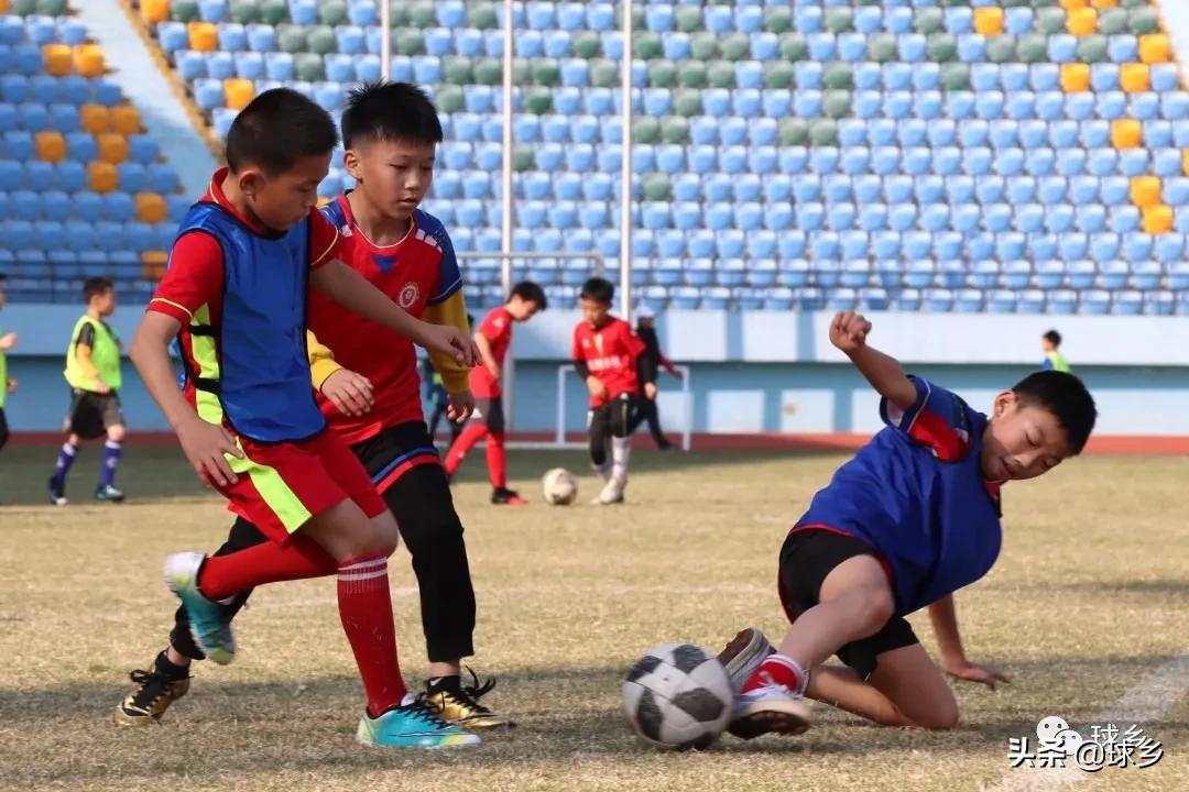 体教融合完善青少年体育赛事体系,体教融合青少年篮球比赛