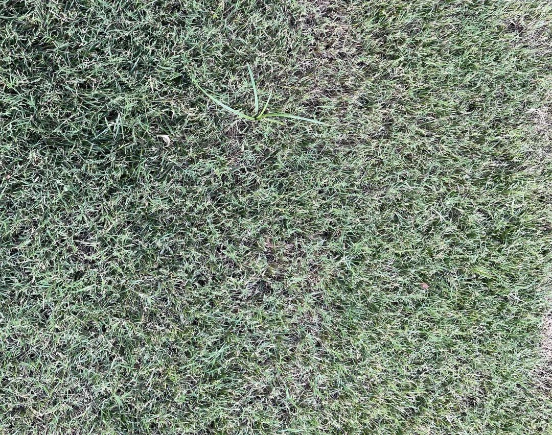 中国铁建西派时代验房,西派时代沣西样板间