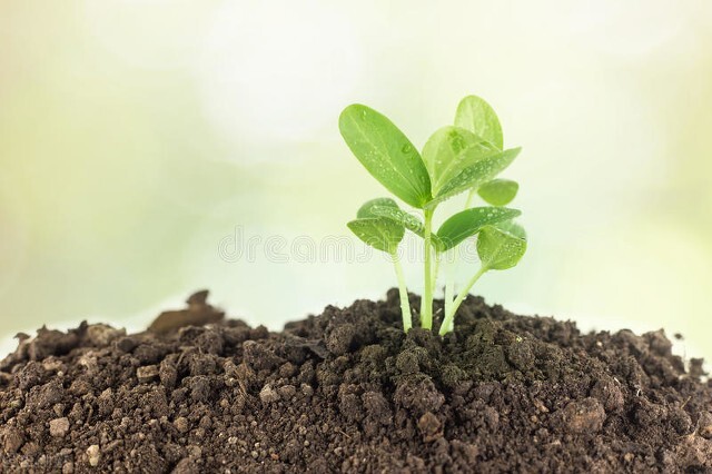 胜人者有力自胜者强给我们的启示,胜人者有力自胜者强给人的感悟