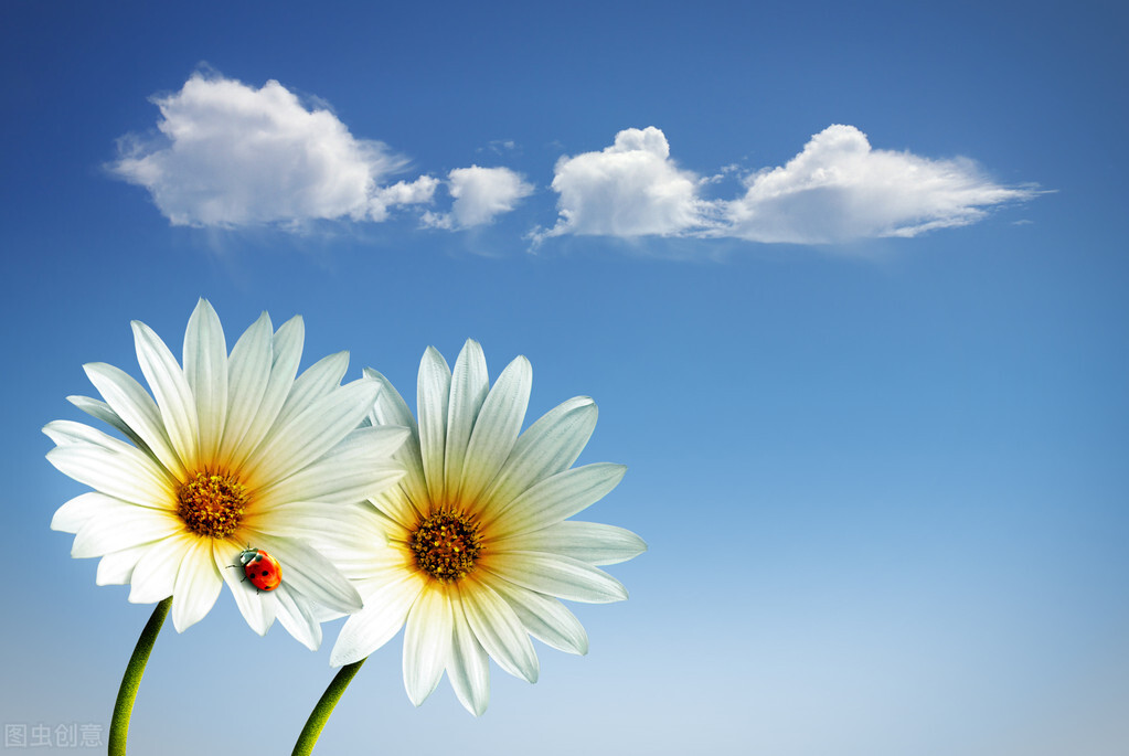 谦卑是一种非常难得的技能,谦卑是人生的一种修行