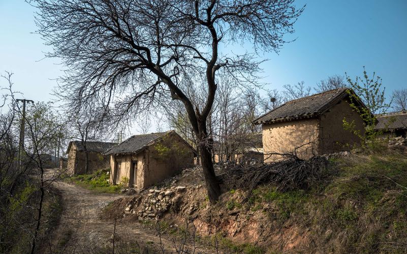 表妹发现表哥偷看小书，当着亲属的面揭露，表哥恼羞成怒引发悲剧