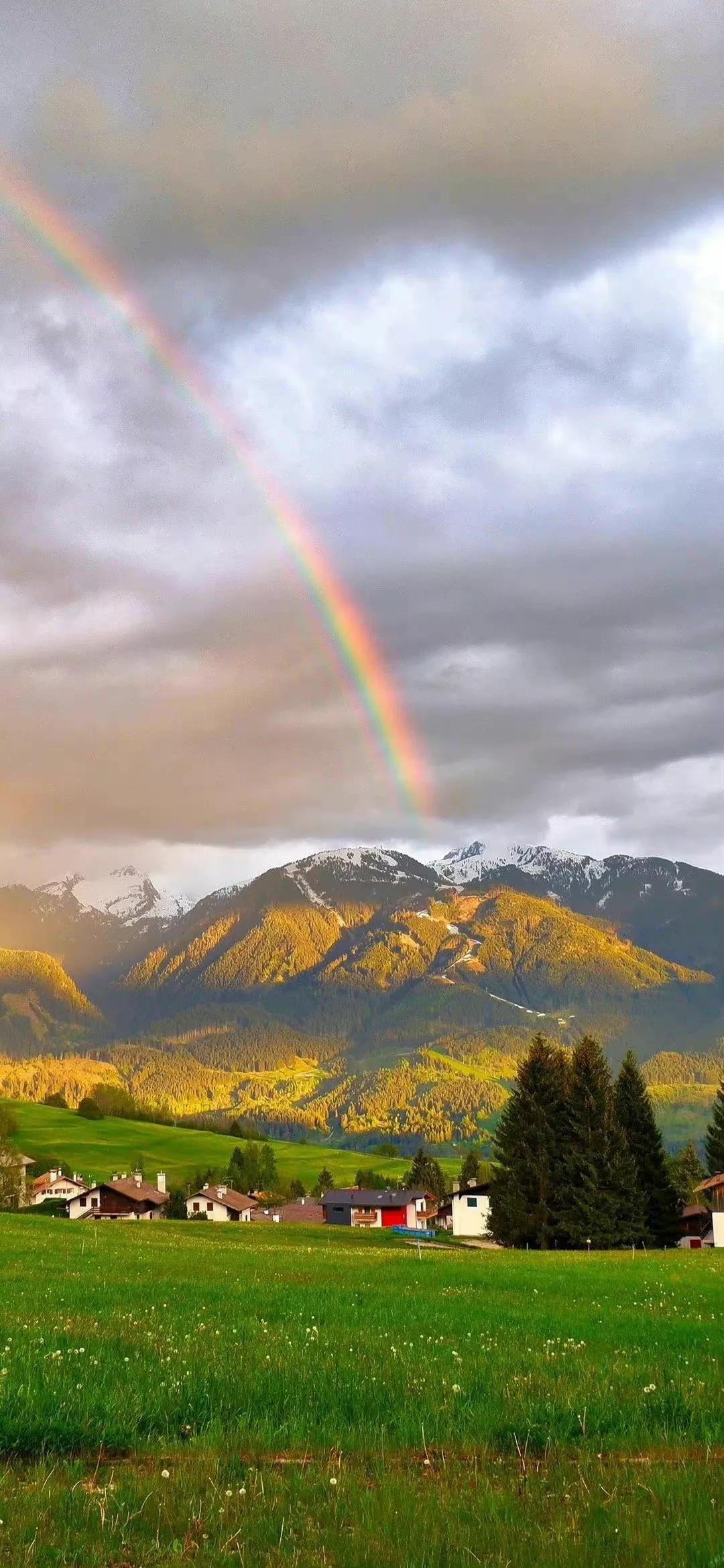 春天清新壁纸图片大全,手机壁纸春天风景超清