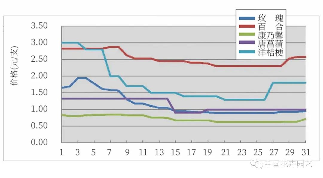 KIFA广州沈阳成都郑州昆明台北日本8月切花|行情