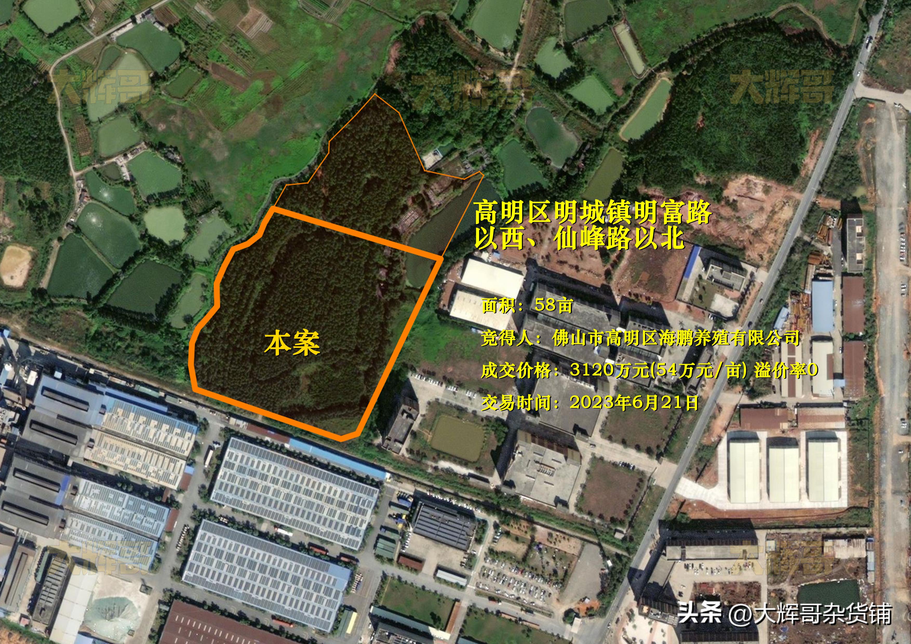 年入12.5亿！海鹏公司摘牌高明明城58亩工业用地主打三洲黑鹅！
