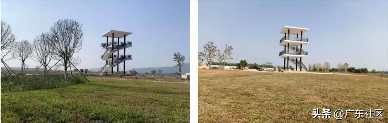 春季国内观鸟热门地,这份观鸟地图请收好