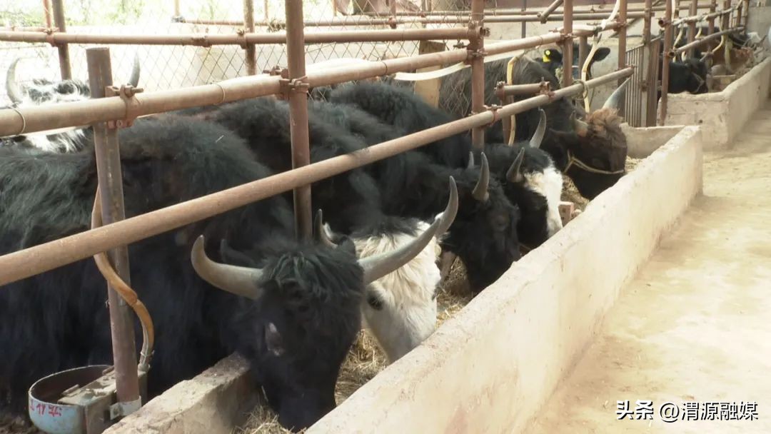 三抓三促行动取得了哪些成效,一图读懂三抓三促行动实施方案