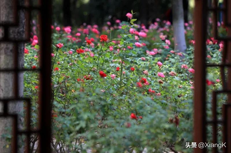 关于云雾的成语,传说中乘云雾飞行的成语