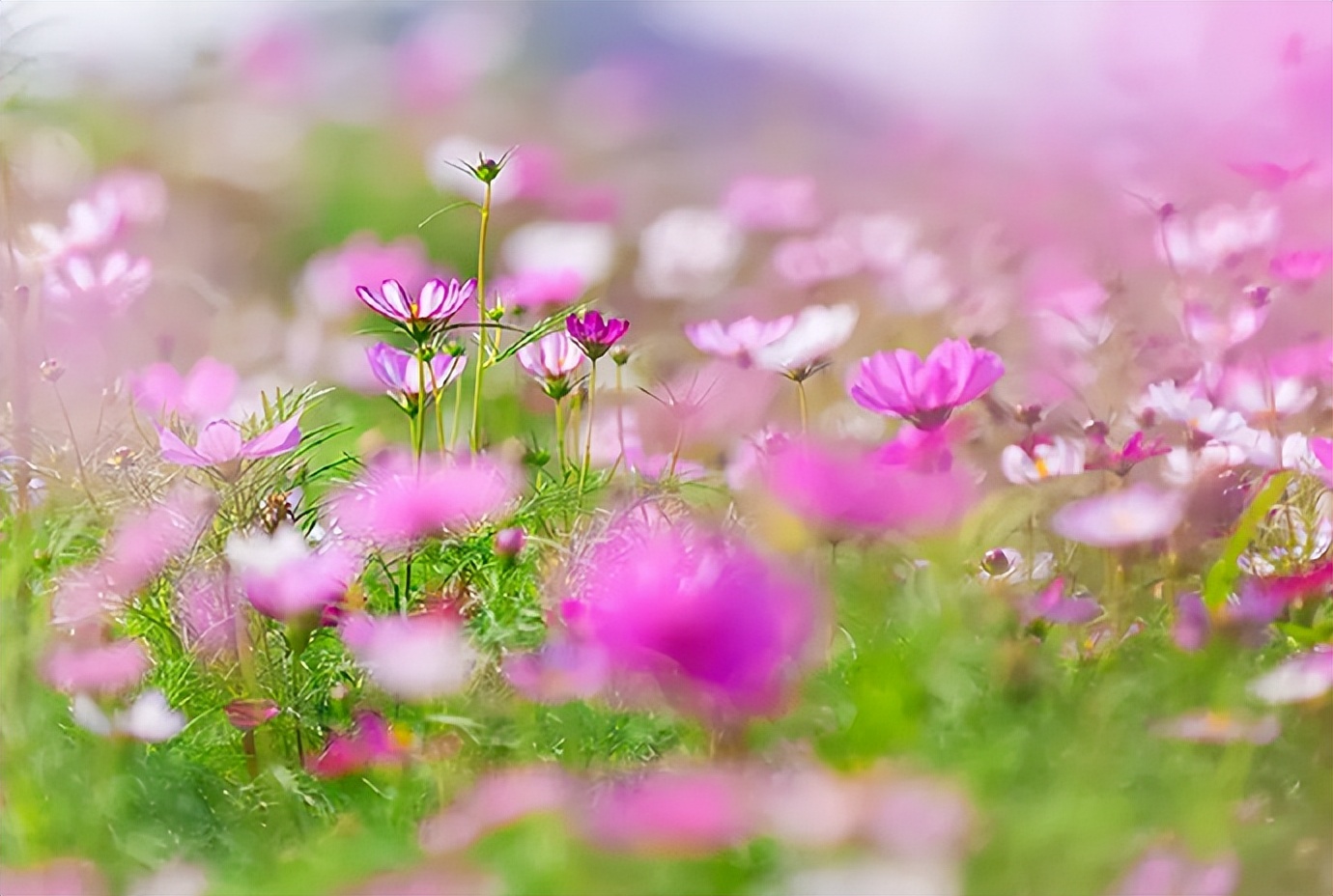 女人这么称呼你说明是看上你了,女人这样称呼你说明有点喜欢你