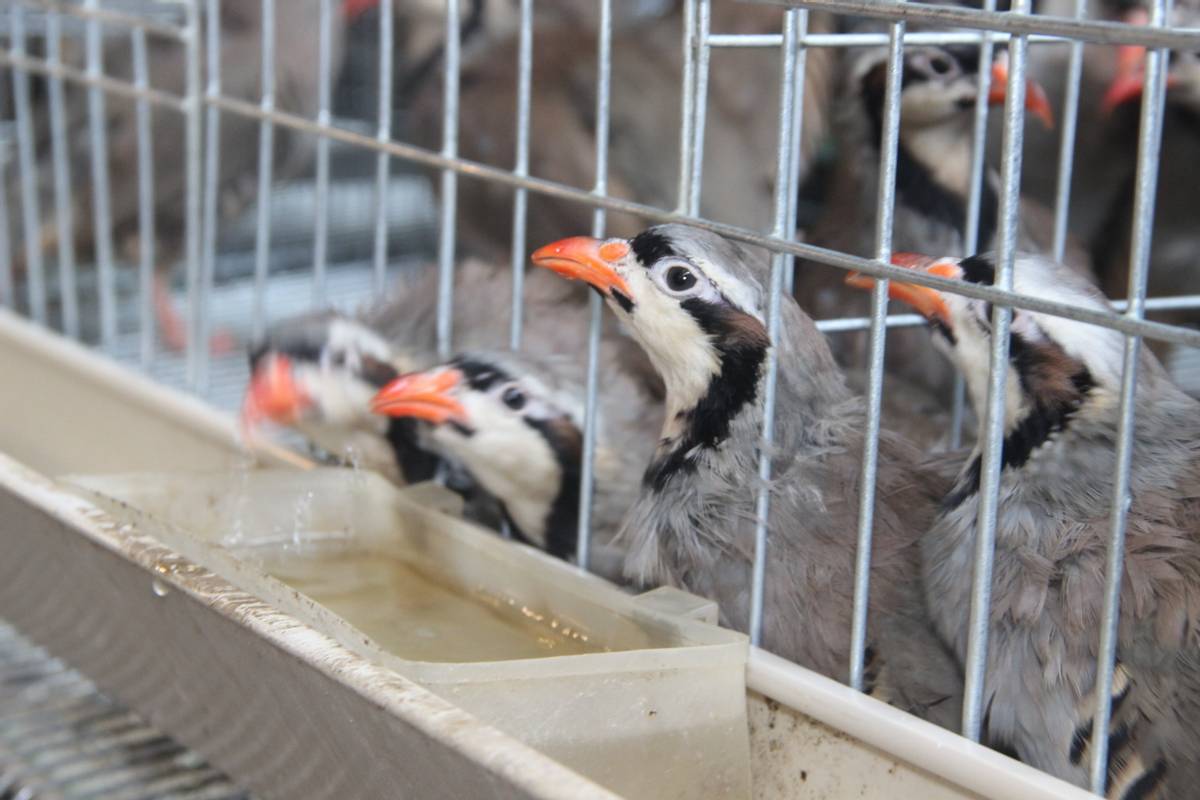 同饮一江水怀集,同饮一江水共筑粤桂情