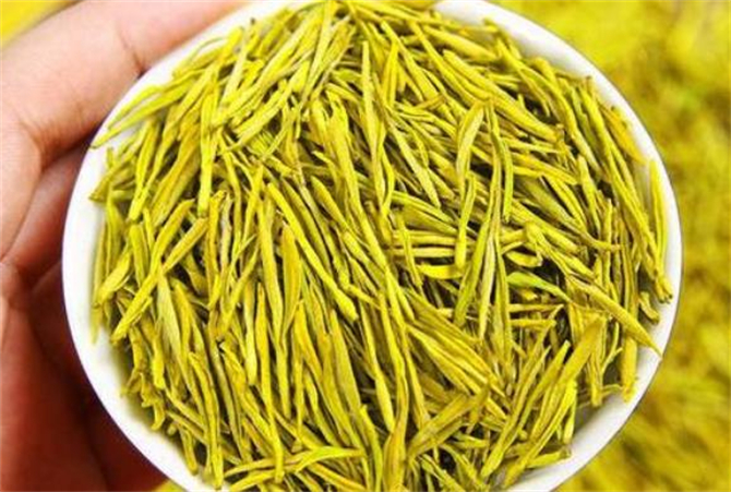 黄金茶是属于什么茶叶类型,黄金茶是啥茶产在哪个地方
