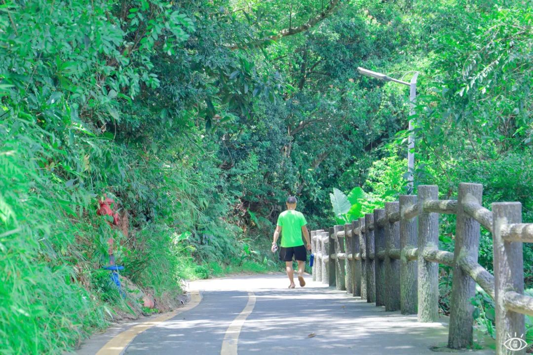 家住深圳必去的公园绿道,深圳环湖绿道好玩么