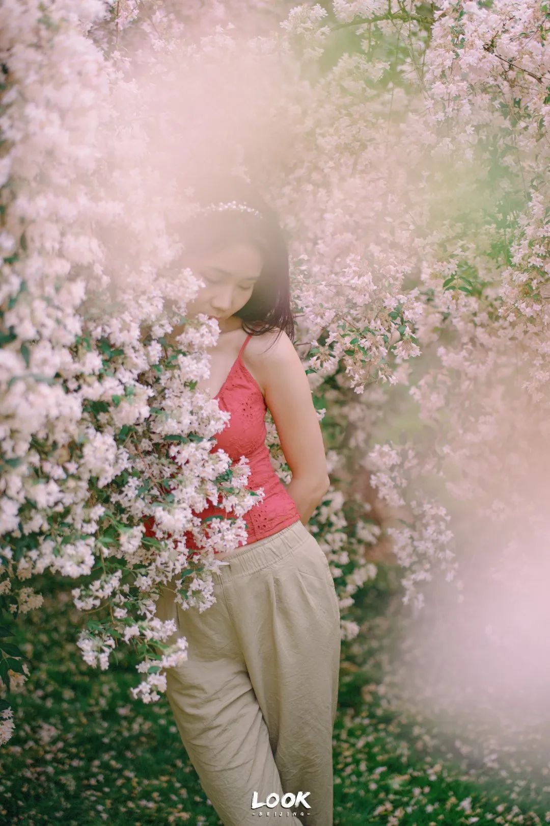 北京居庸关花海栈道,北京四季花海景区
