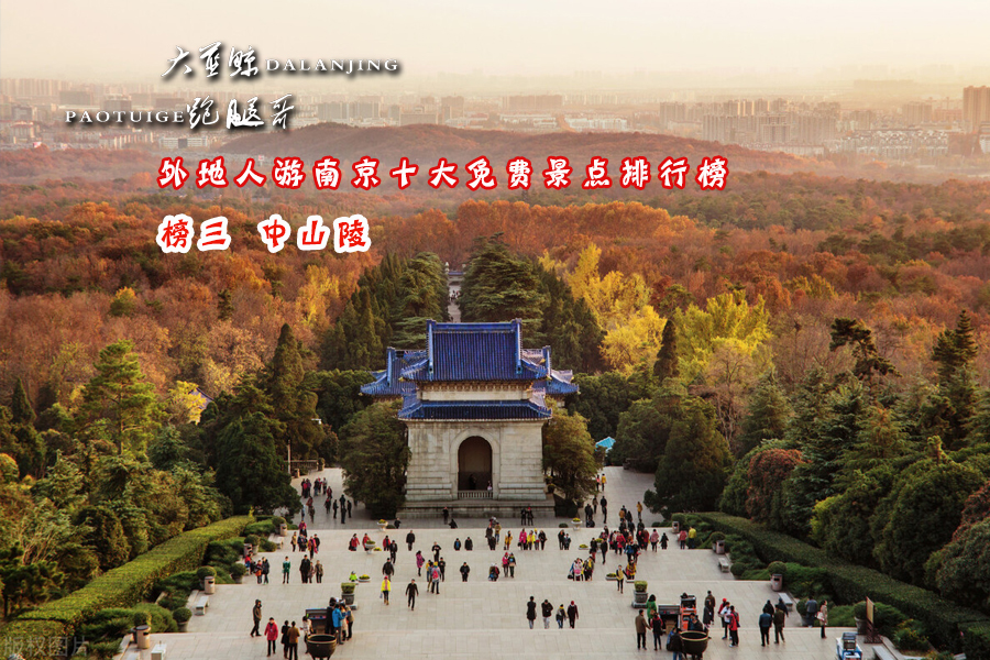 南京旅游必去十大景点推荐带孩子,南京60岁免费的景点一览表