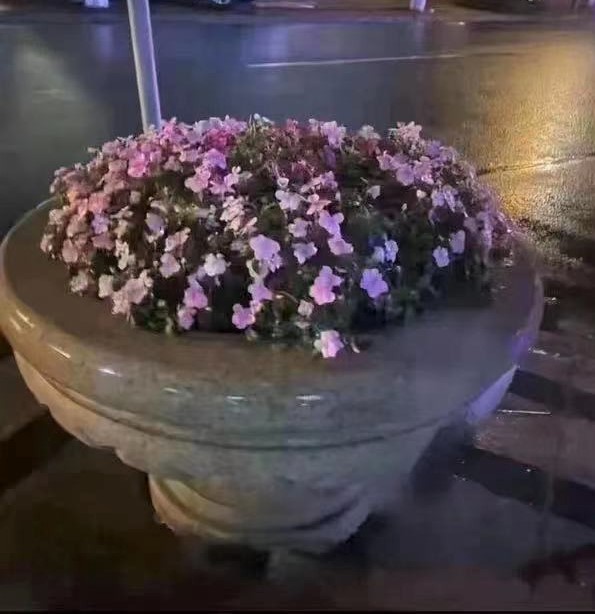 让老板无法拒绝的请假理由,给单位请假领导无法拒绝的理由