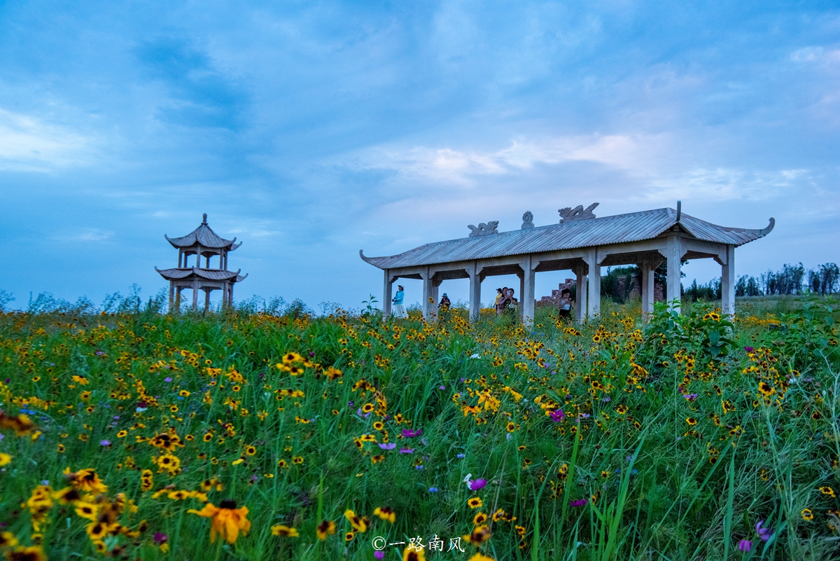 河南特别大的草原,美丽的河南大草原