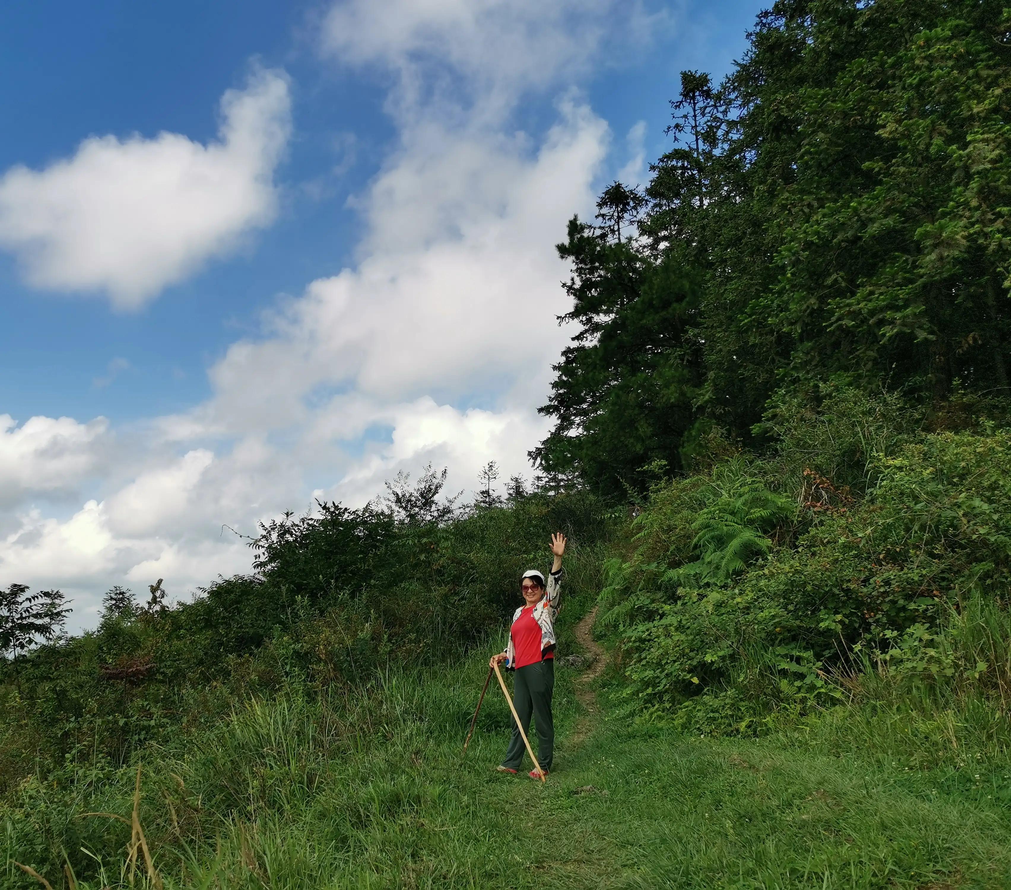 桐梓楚米避暑海拔高的地方,贵州桐梓楚米避暑哪家好