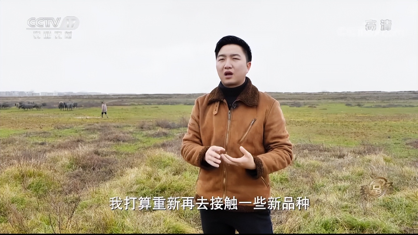 你见过5条腿的牛吗？养出2000斤巨大吨牛，一年大赚5000万