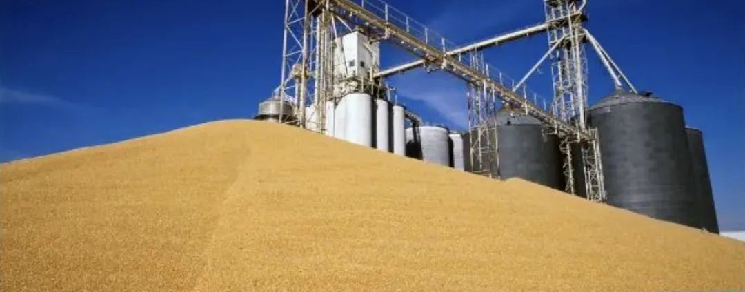 全面推进乡村振兴新闻发布会,人民日报推进乡村振兴获高度关注