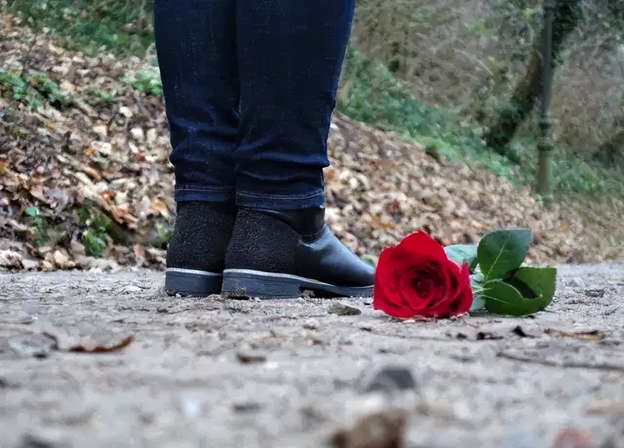 分手后看什么书可以快速走出来,分手后如何快速走出来