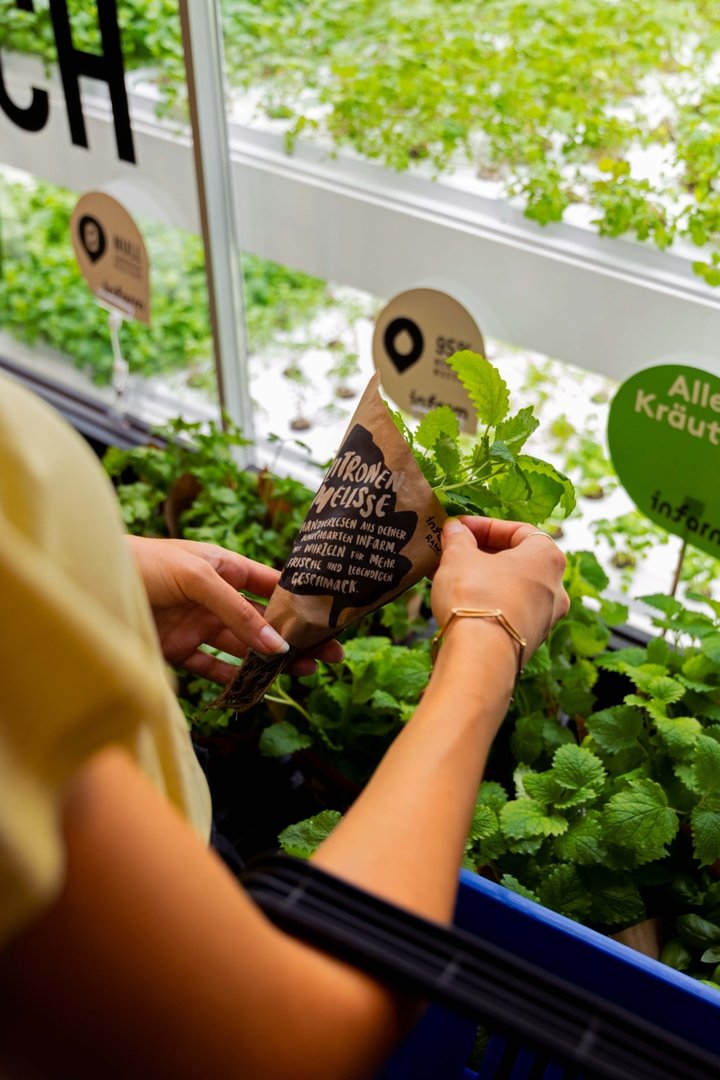 垂直农场千亿级规模,垂直农场龙头