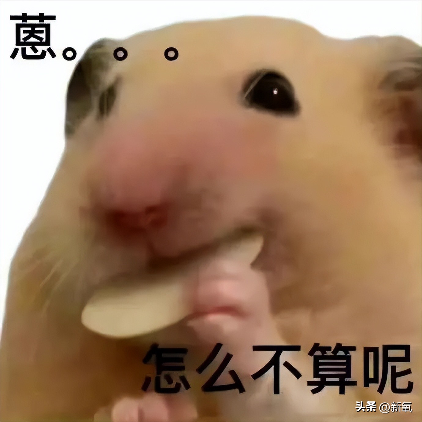 鞠姐同款光腿神器,鞠姐新作品