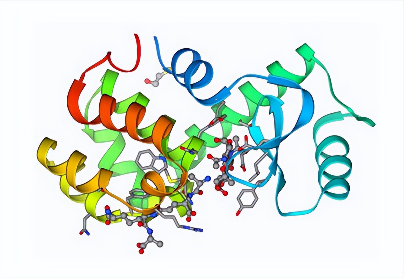 纤维素酶在农业上的应用图片,纤维素酶在膨化食品中应用