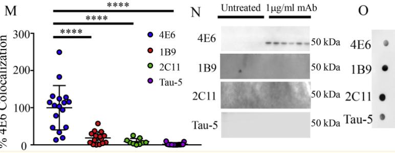 tau鎶椾綋,tau鎶椾綋涓村簥璇曢獙