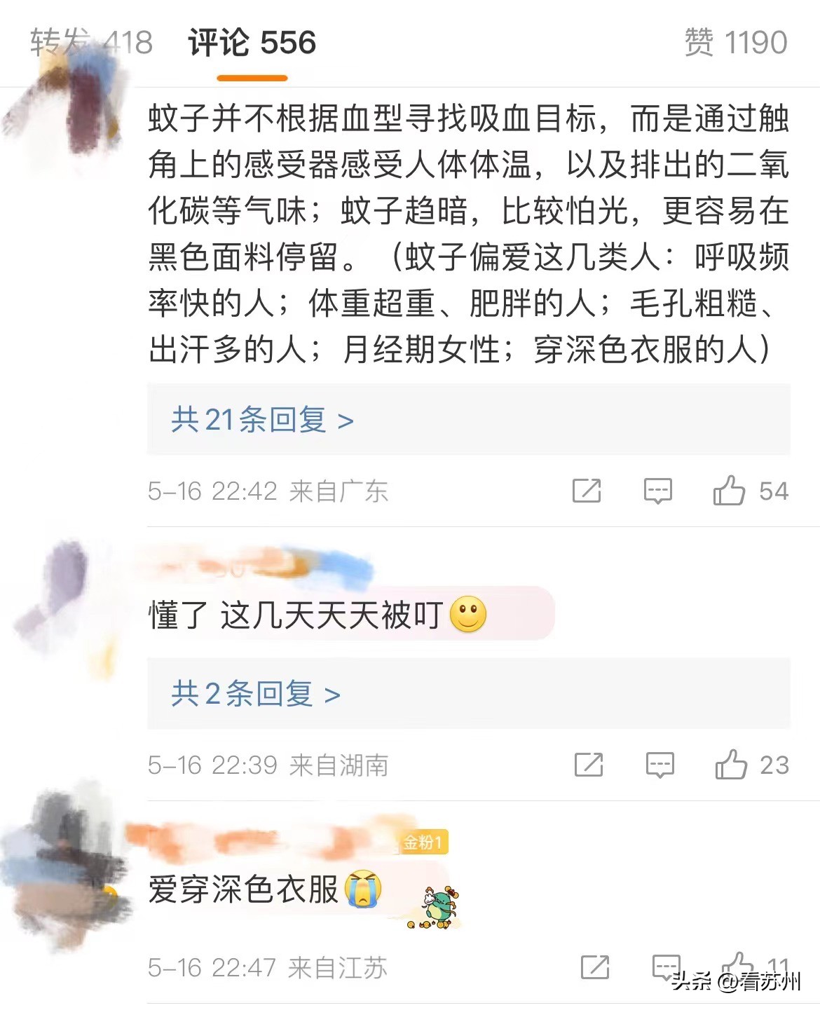 蚊虫苍蝇太多怎么办,乡下蚊虫很多怎么有效驱虫