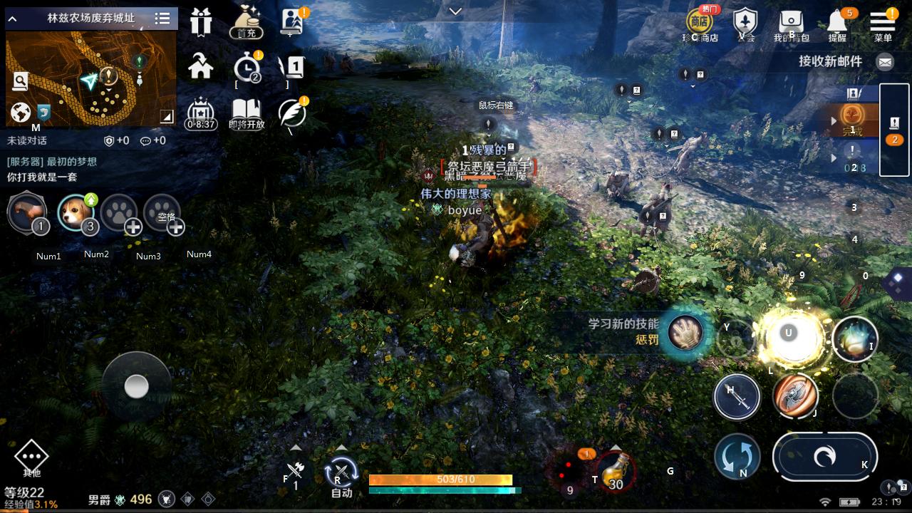 黑色沙漠手游精英测试,黑色沙漠手游深度测评