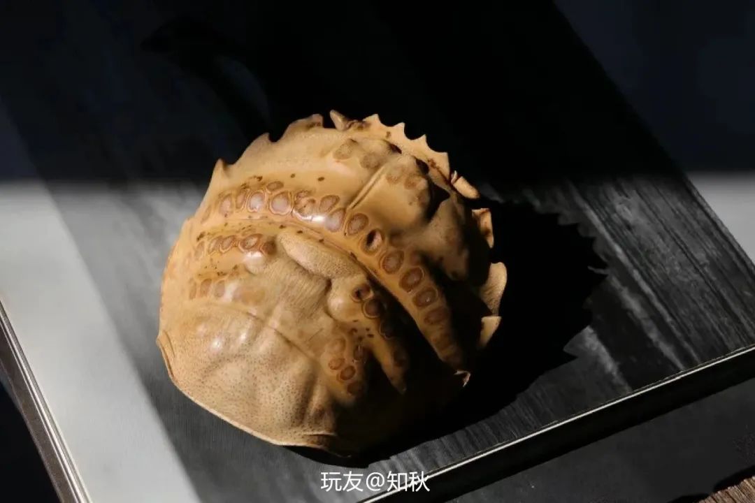 宁可食无肉不可居无竹是指竹子吗,易经说宁可食无肉不可家里无竹子