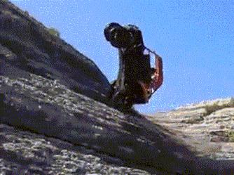 这衣服怎么穿内衣呀?不穿内衣怎么挺起来啊?