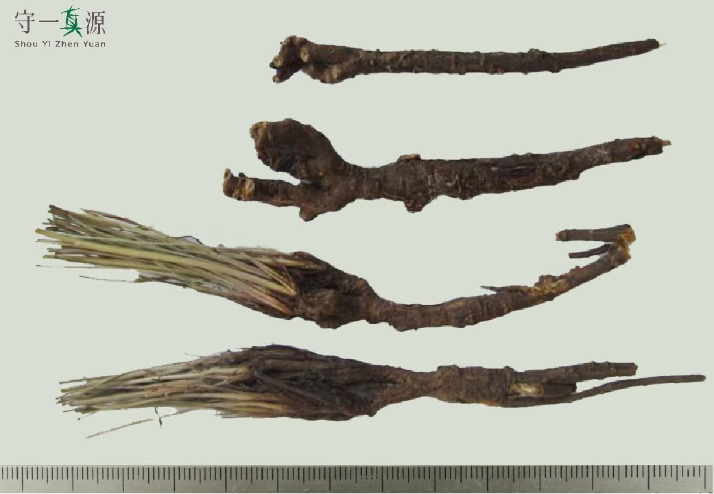 中药真伪鉴定案例,中药鉴定真假找谁