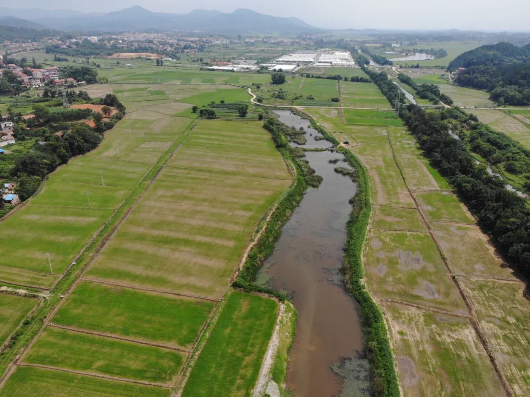 严厉打击非法采矿检察院,非法采矿类案件检察建议