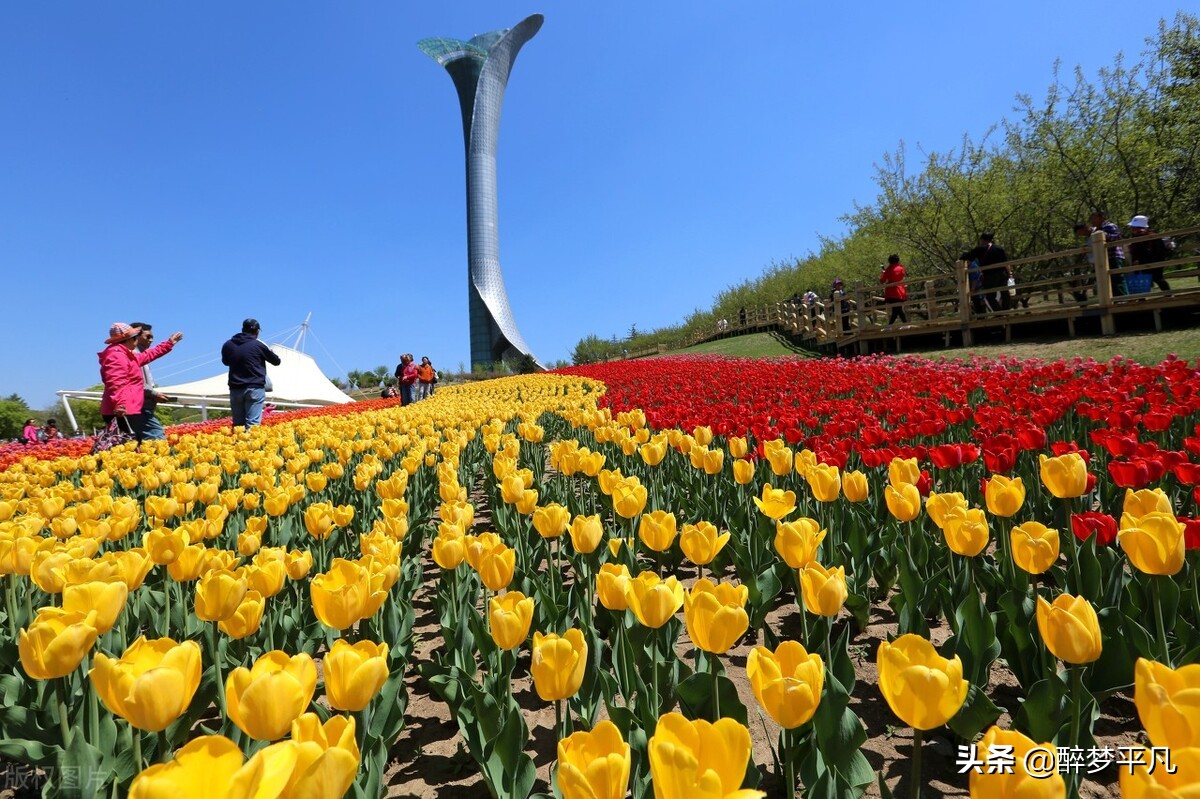 沈阳植物园沈阳世博园,沈阳世博园和植物园区别