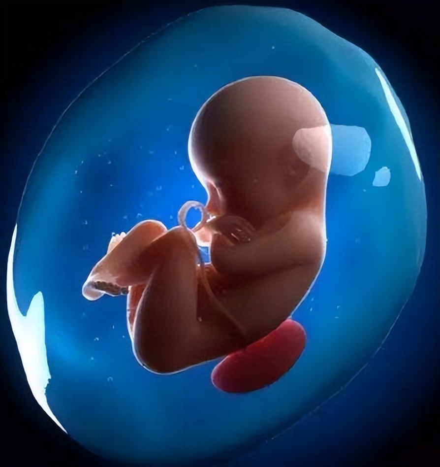 【豫健科普】《膳食指南》轻松读：如何做到“适量”喝水？