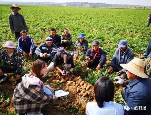 鍏ㄧ渷鍔犲伐鍨嬮┈閾冭柉,鍦熻眴闈╁懡鍔╁姏涓版敹涓颁骇
