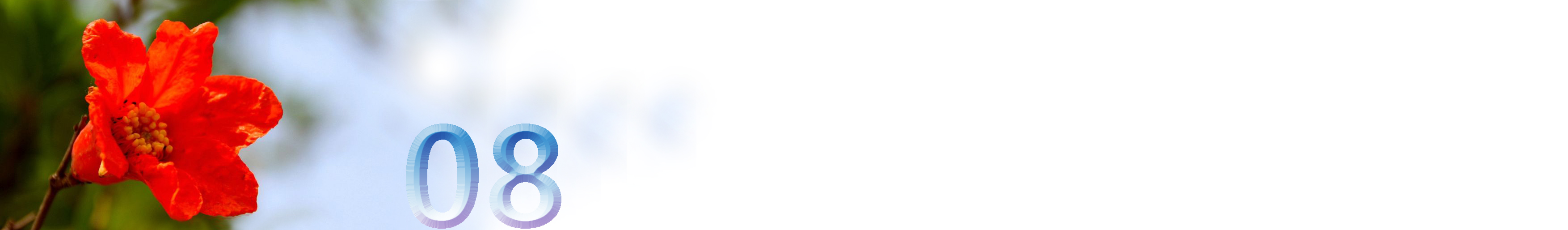 五月石榴花开的唯美诗句,关于石榴花的美文和诗句