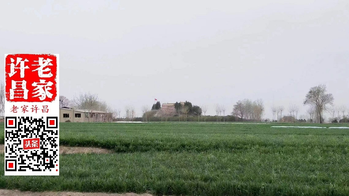 许昌盆李村历史,许昌建安区盆李村