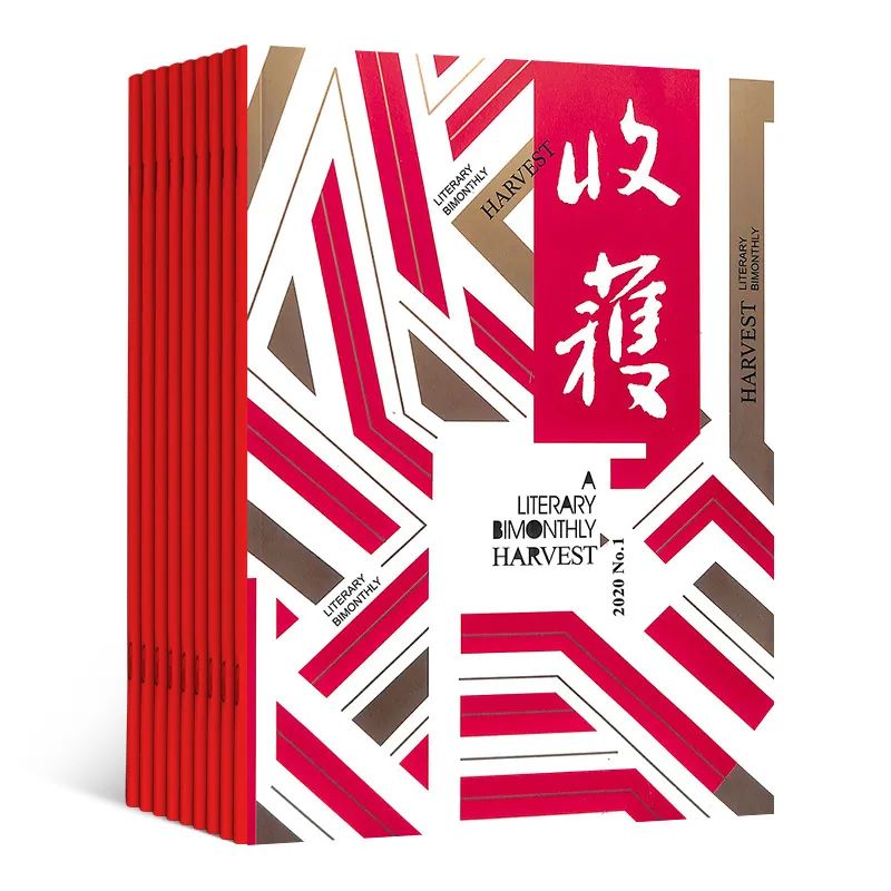 当代年轻作家,作家的现状与前景