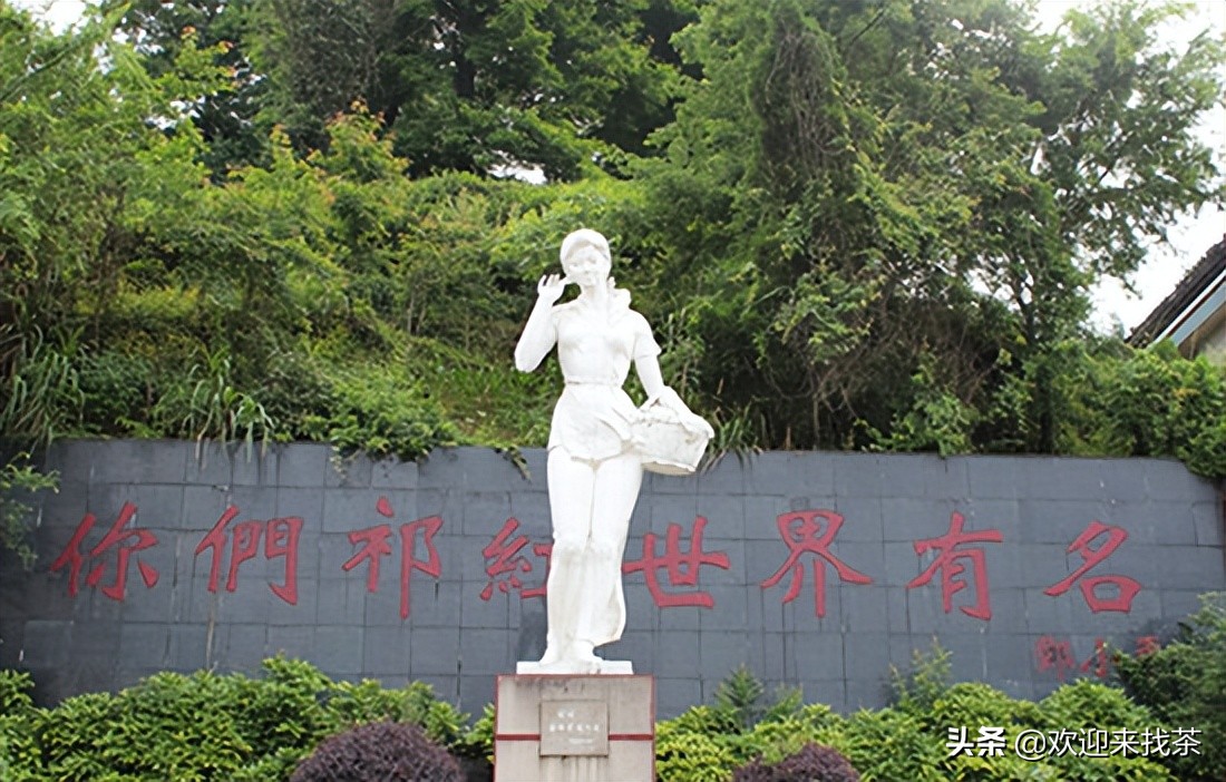 英国红茶过期两年还能喝吗,红茶有保质期吗过期的茶叶能喝吗