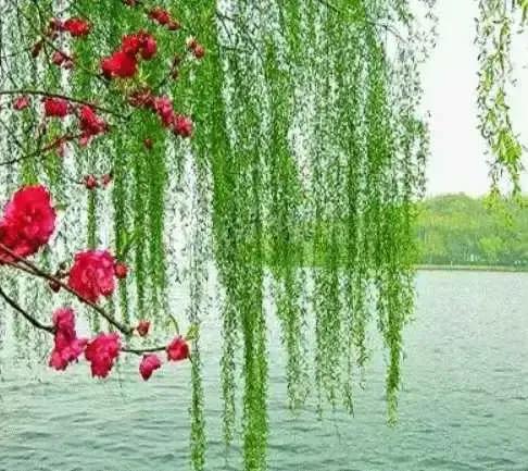 2023年03月03日星期五农历：癸卯年【兔年】二月十二八九第9天