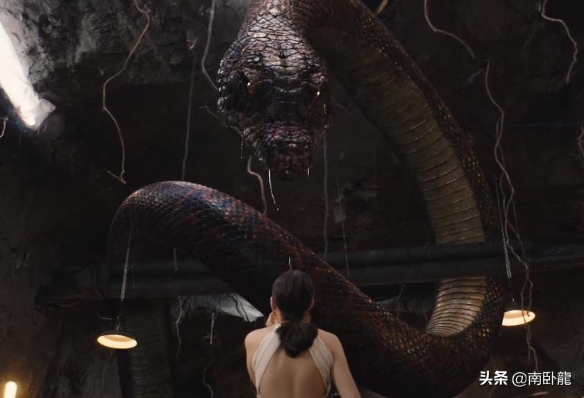 巨蛇闯女校电影剪辑,巨蛇闯女校电影在线播放