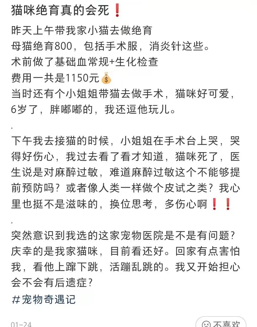 宠物医院给猫咪绝育的骗局,宠物绝育怎么不花冤枉钱